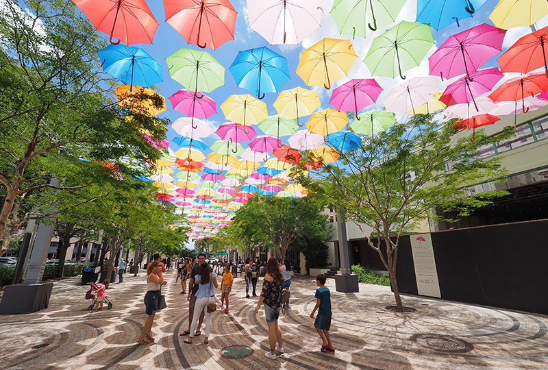 An installation of umbrellas in Miami