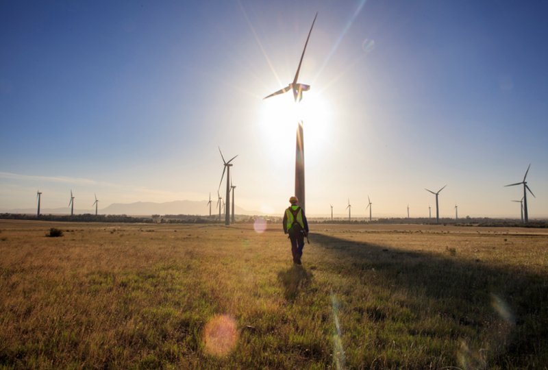 A man walks through a field of wind turbines