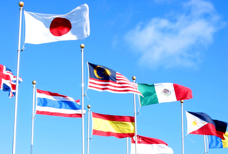 International flags flutter over campus