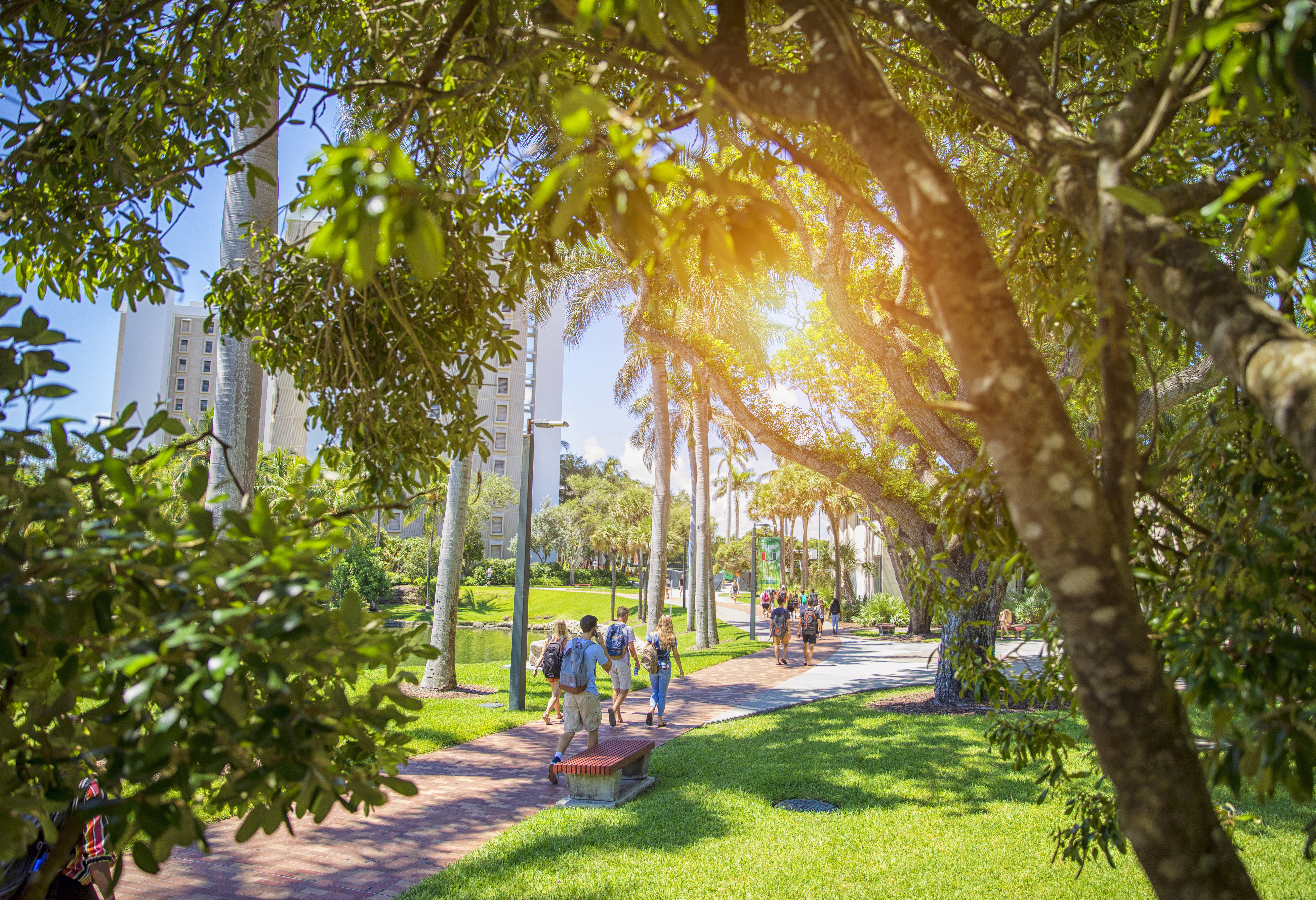 Students walking through the University of Miami campus.