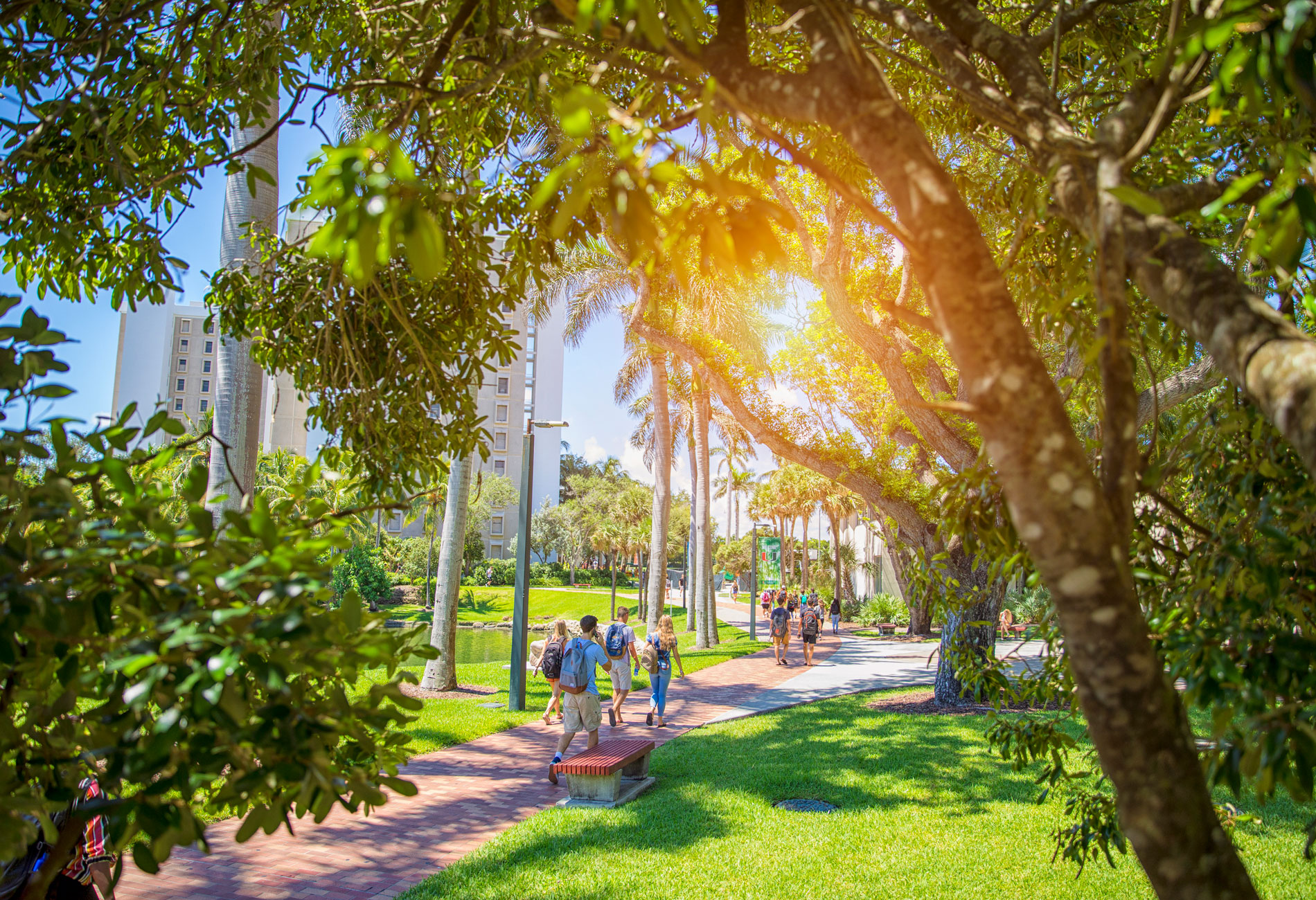 Students walking through the University of Miami campus.