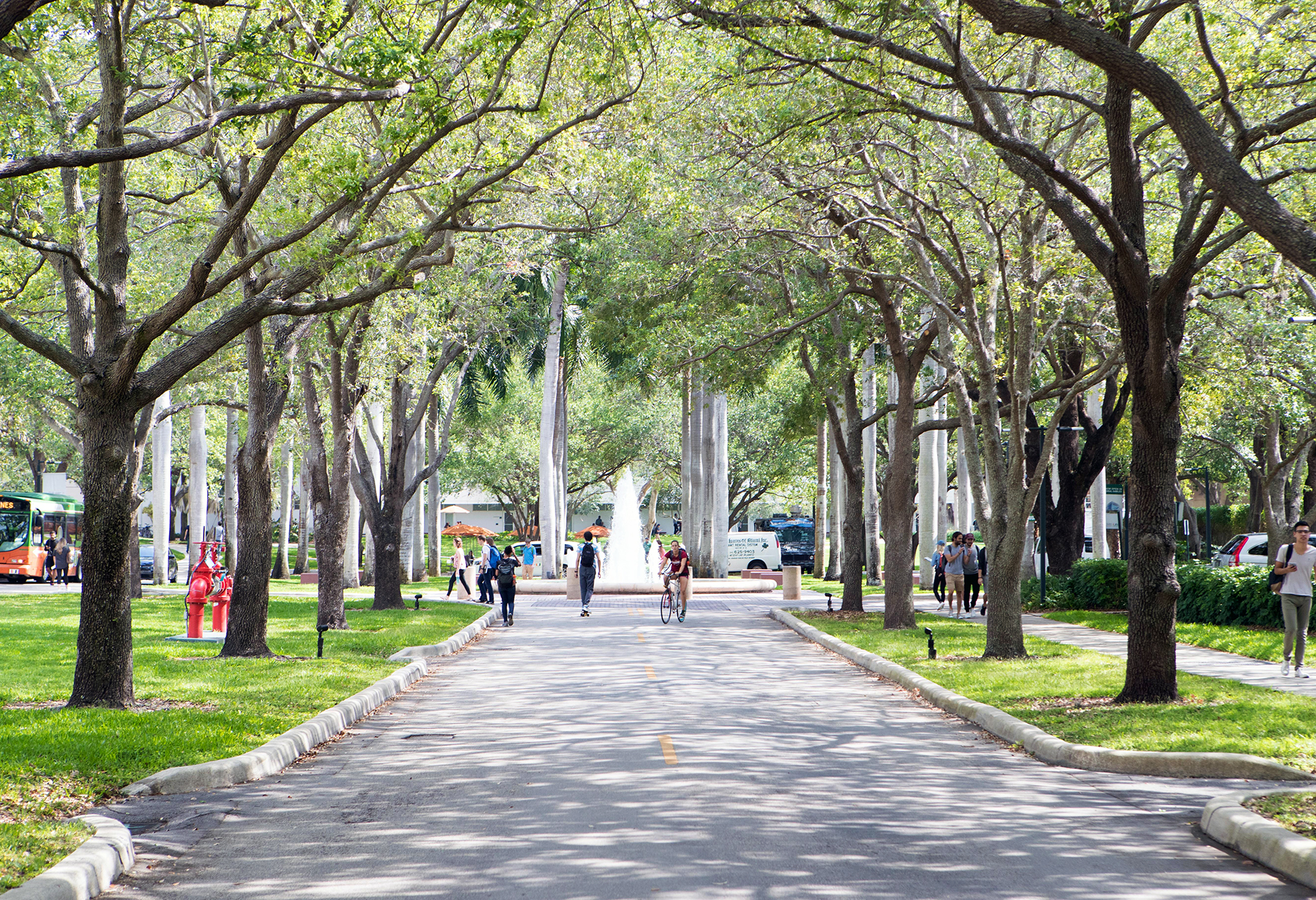 University of Miami tree-lined street with students.
