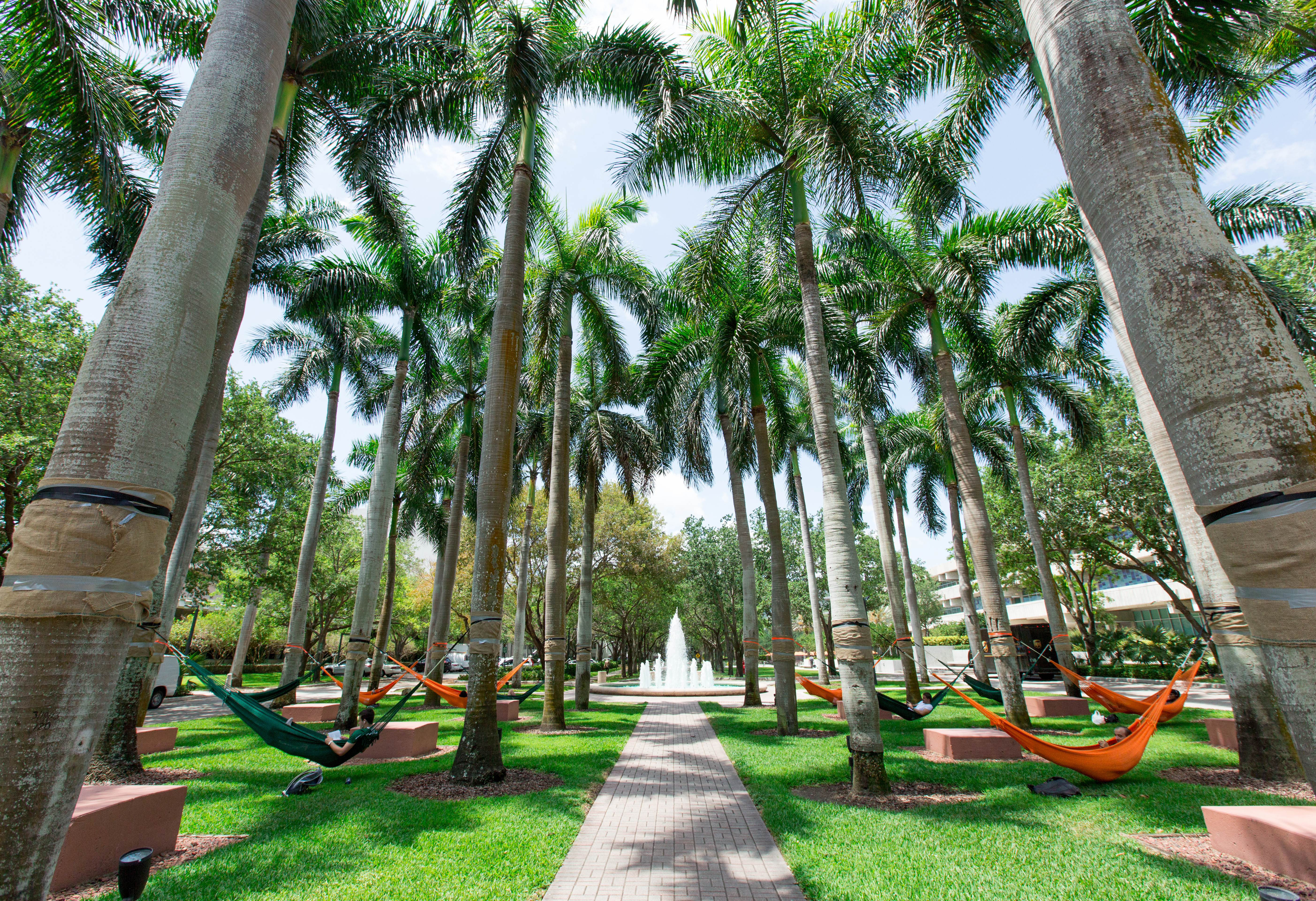Students on green and orange hammocks on the University of Miami campus.