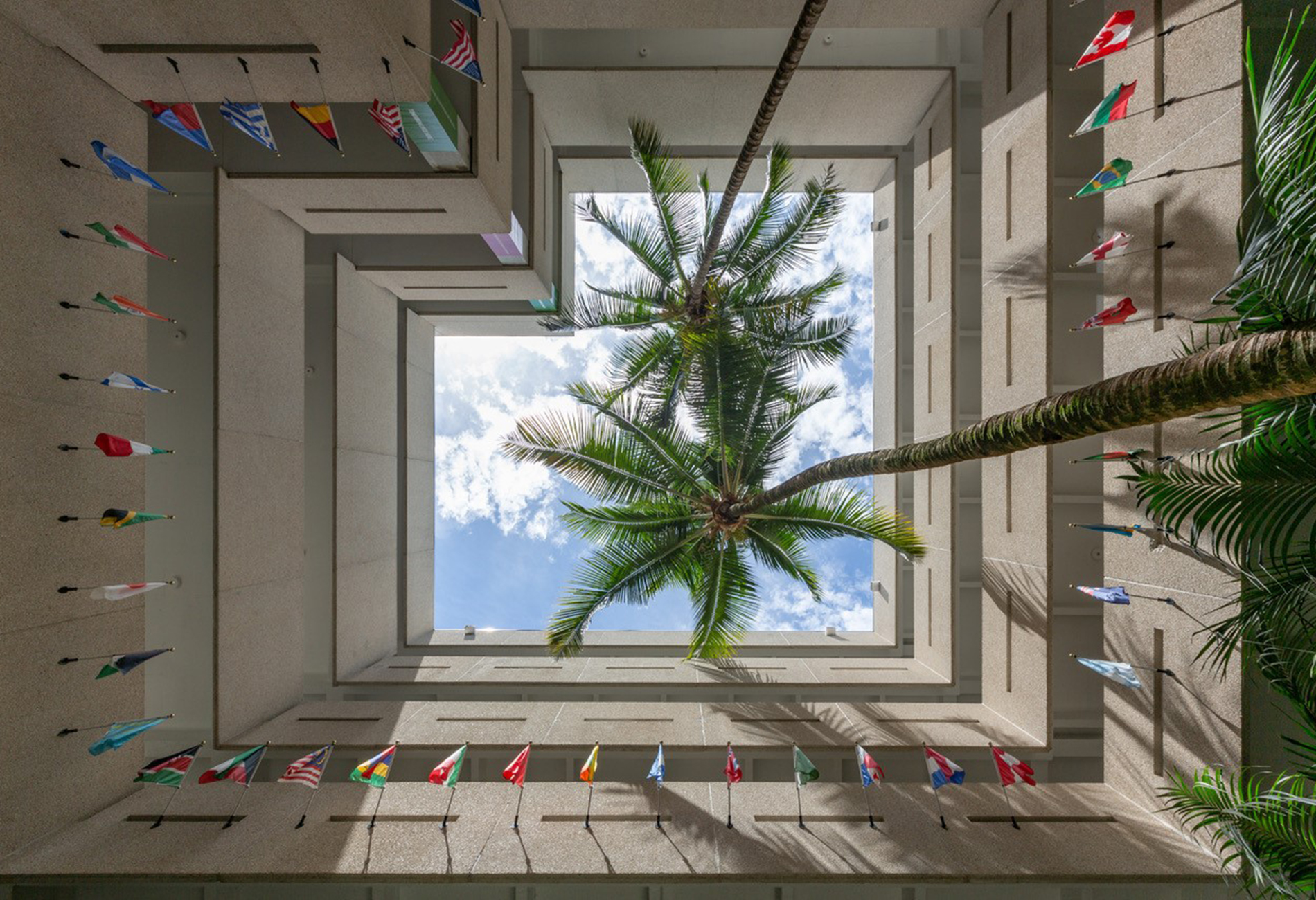 Photo from the atrium of Miami Herbert building looking up at palm trees and world flags.
