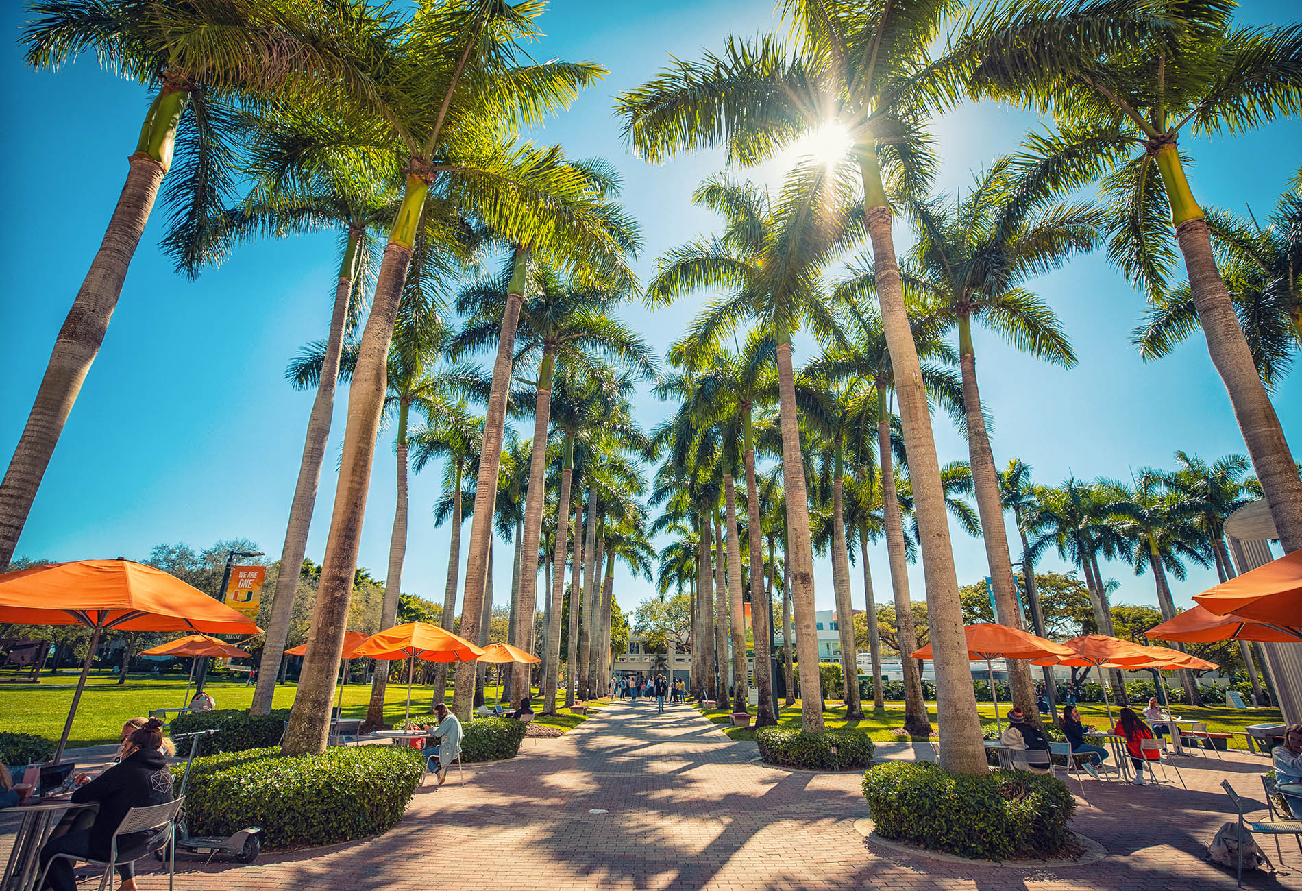 University of Miami Campus