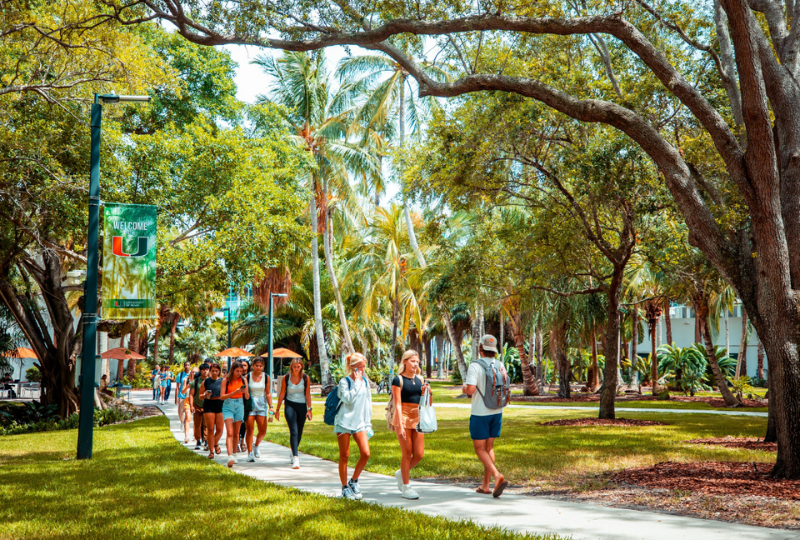 University of Miami tree-lined street with students.