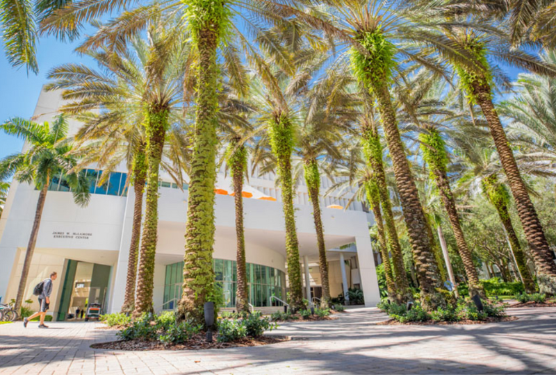 University of Miami tree-lined street with students.