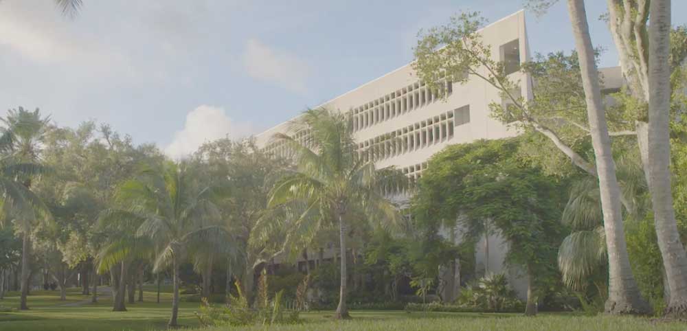 Thumbnail for Why the Full-time MBA? Faculty Expertise video