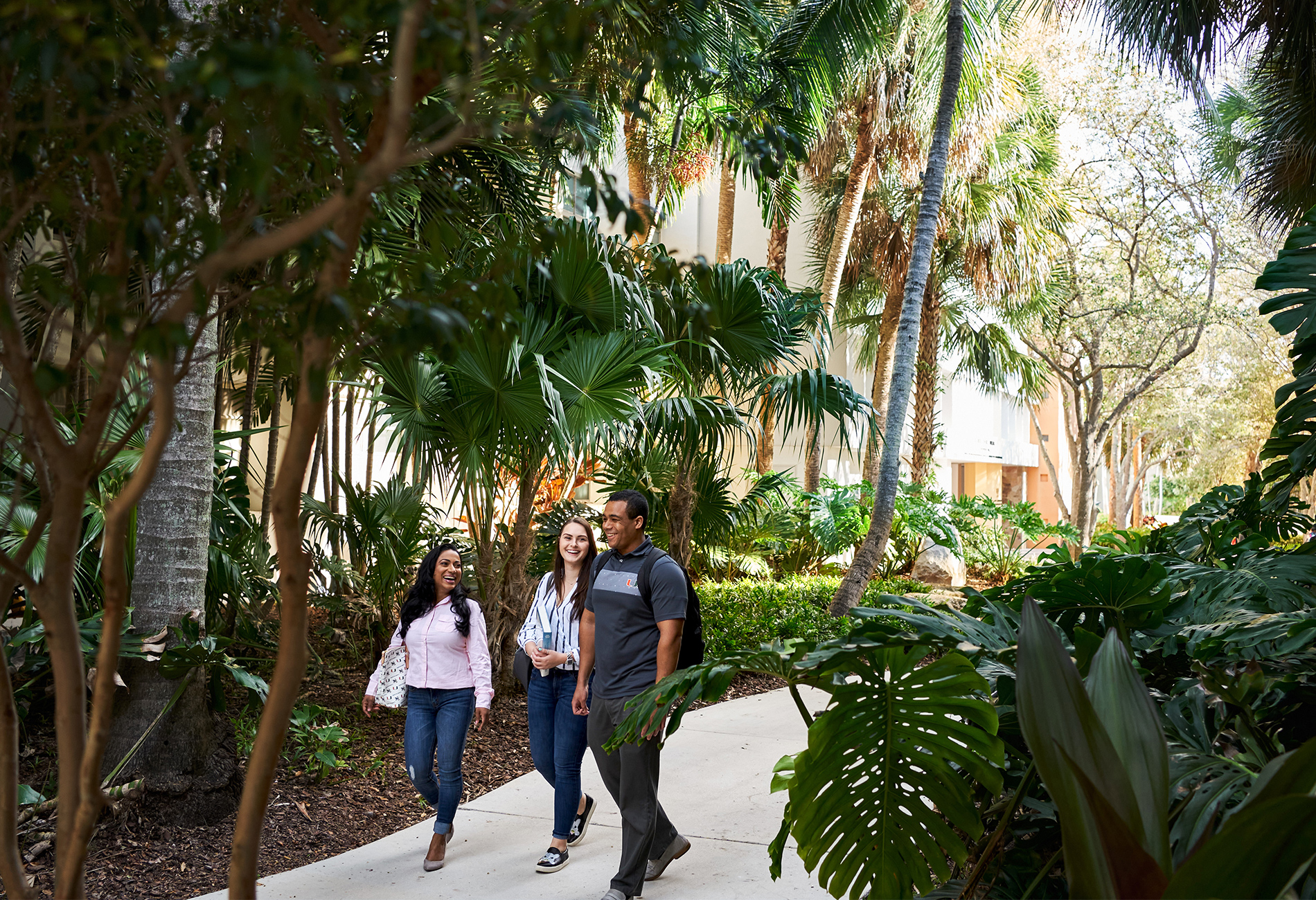 Students walking through campus. Student interaction on campus.