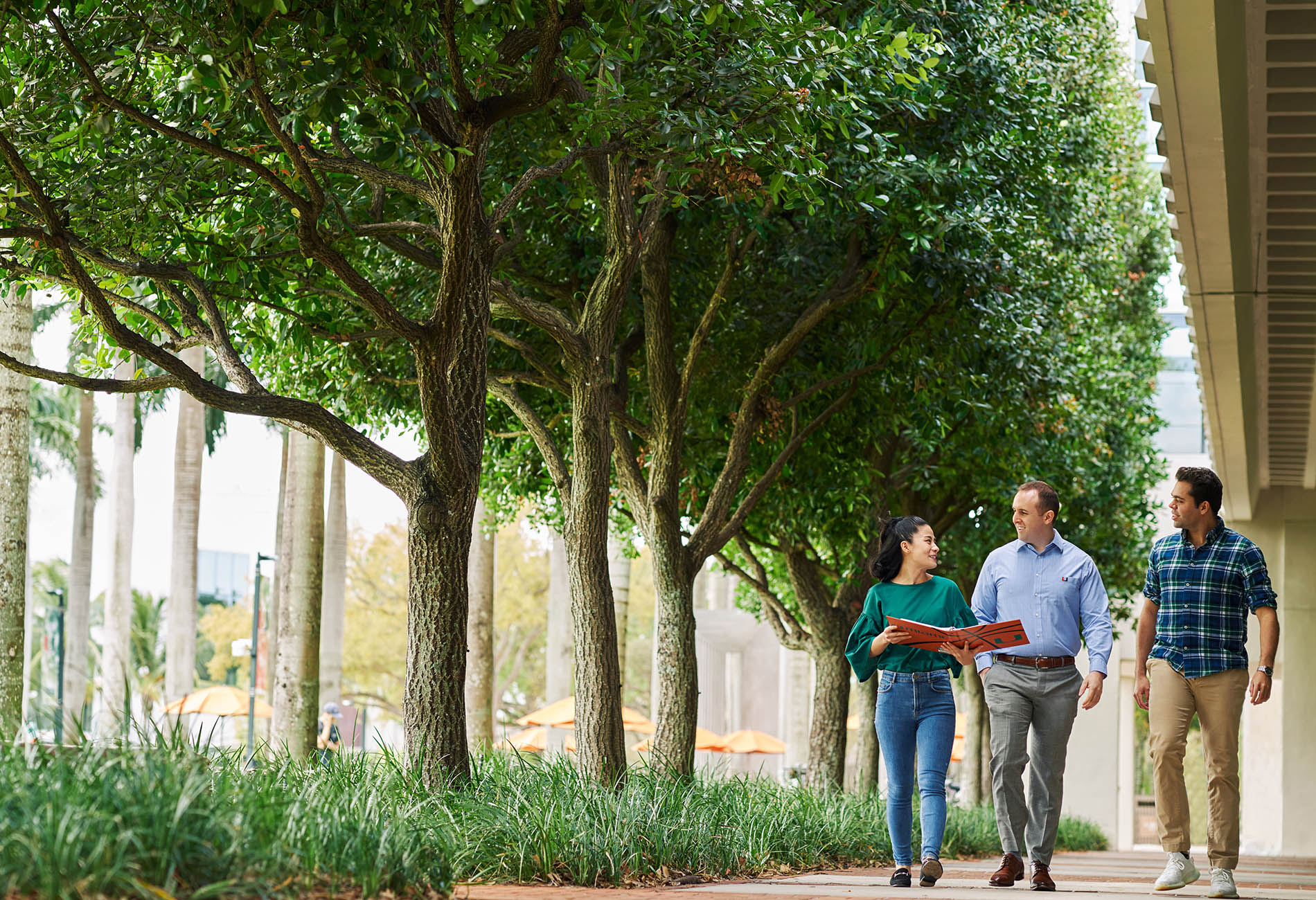 students and professor walking through University of Miami campus