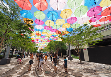Umbrella art installation in Coral Gables