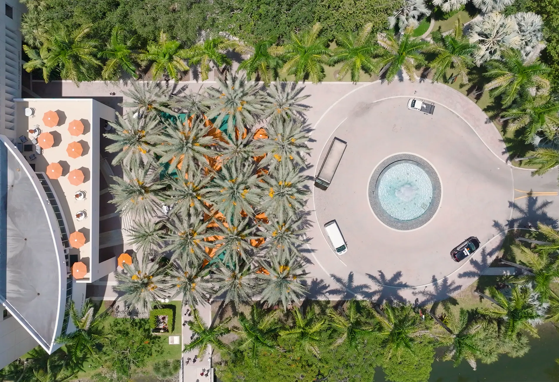 Miami Herbert Hero image