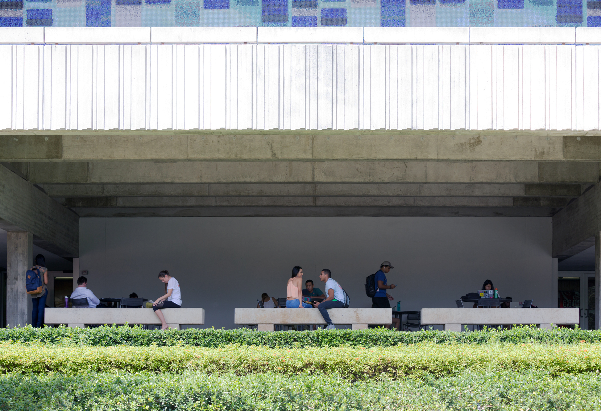 Students talking, sitting and walking on campus.