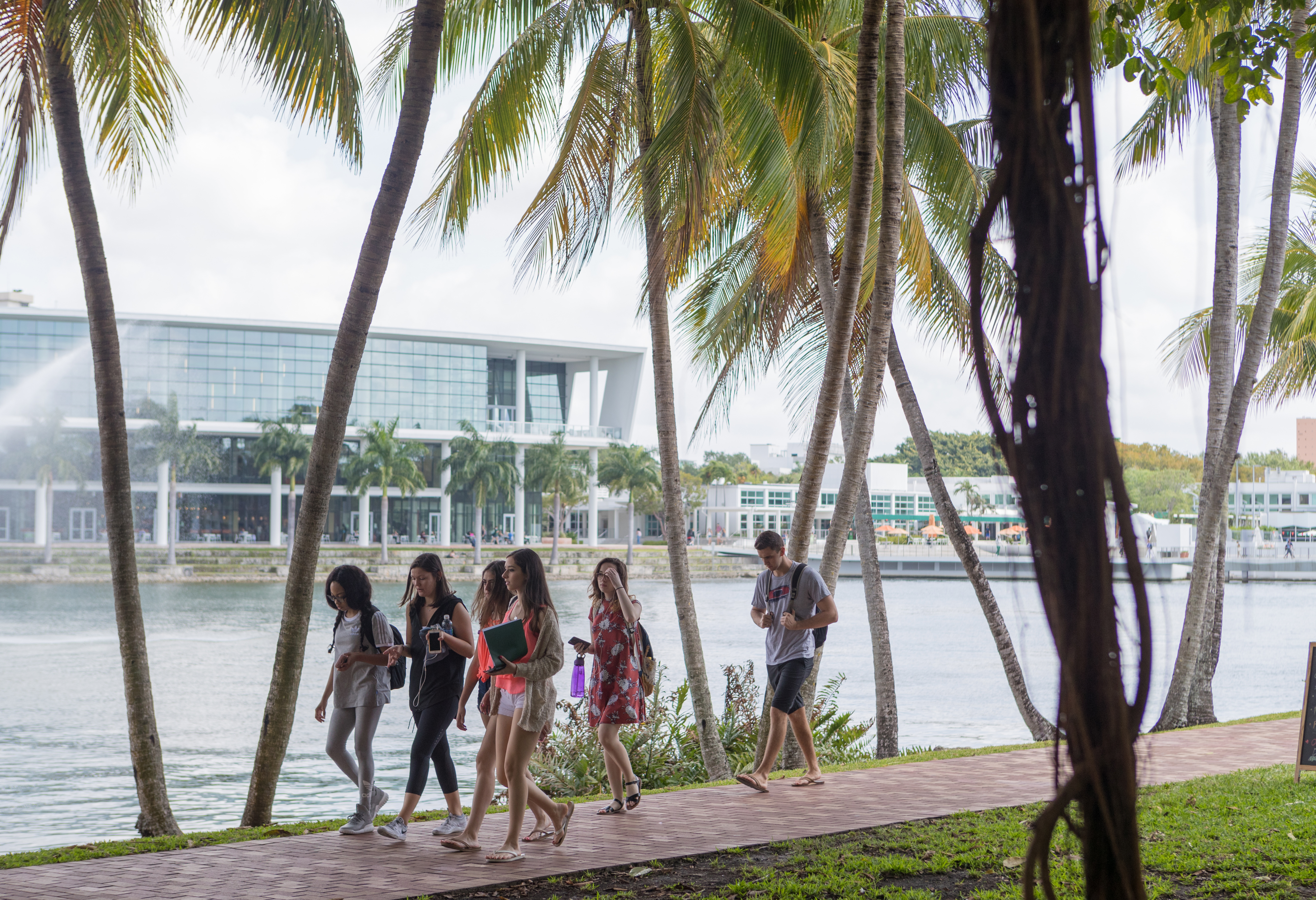 Students walking alongside the lake on the University of Miami Campus, palm trees in the background.