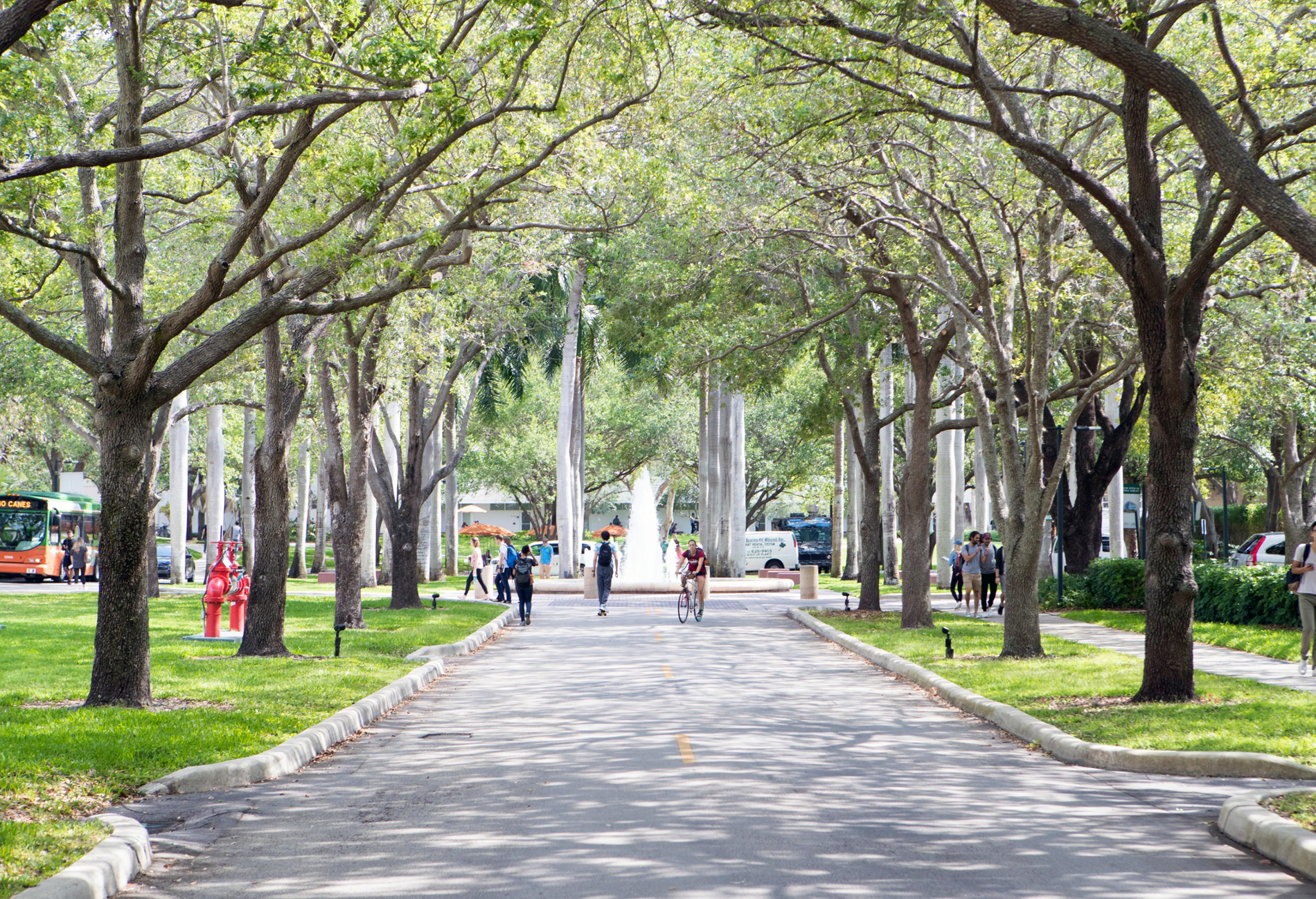 Tree lined street on the University of Miami Campus with students walking about.